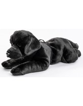 pluche-labrador-60cm (2)